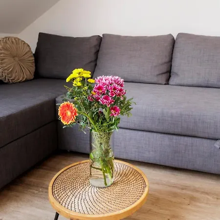 公寓 Queen Flat In Old Town With Castle View